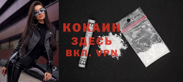 стаф Аркадак