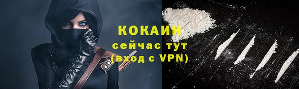 стаф Аркадак