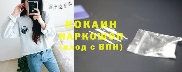 стаф Аркадак