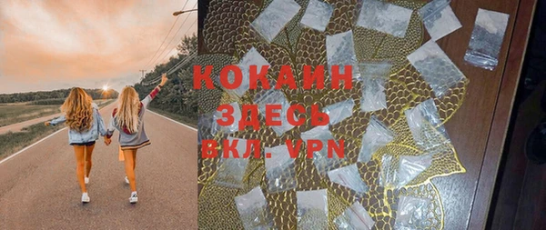 стаф Аркадак