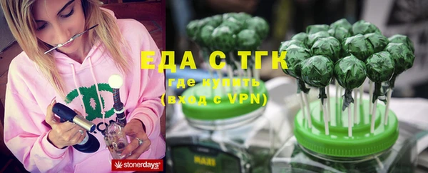 стаф Аркадак